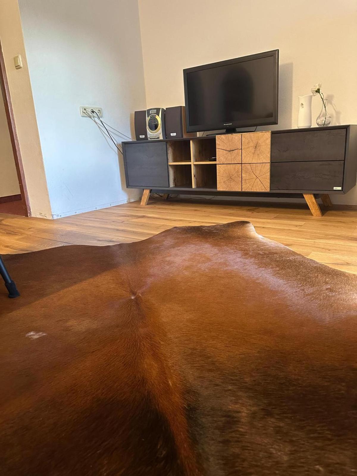 Stille Oase Apartment Panorama Bruck an der Grossglocknerstrasse Ngoại thất bức ảnh